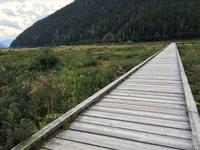 Strand von Stewart
