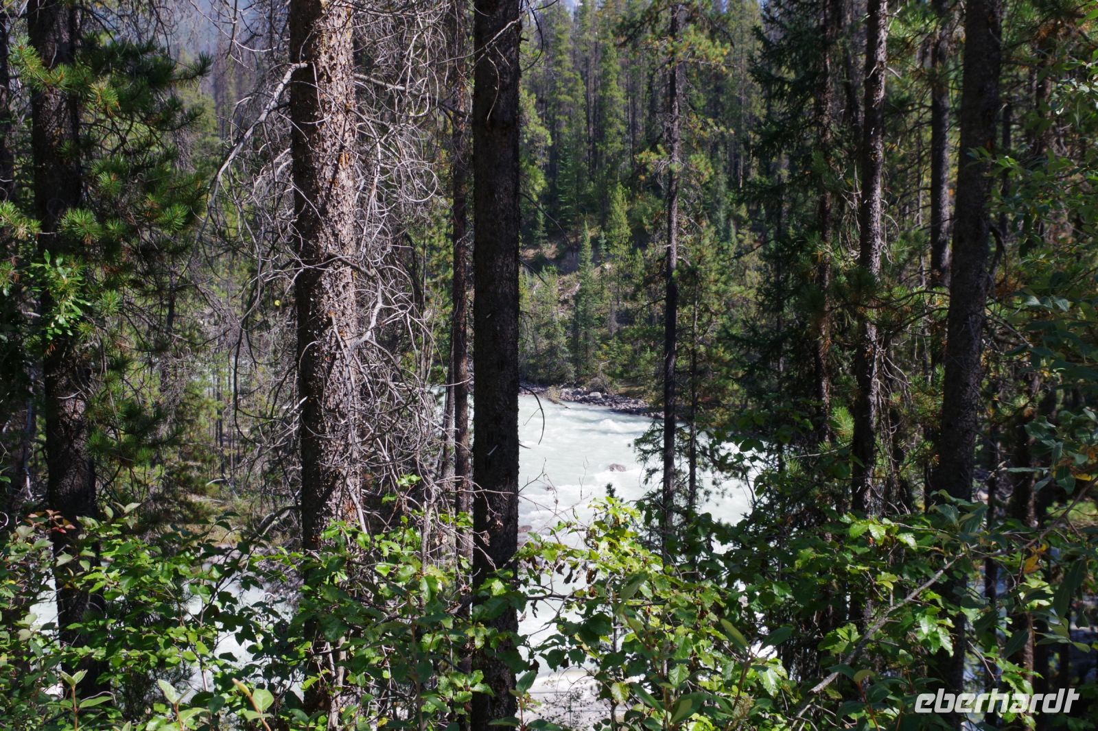 Sunwapta Falls 3