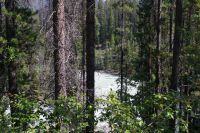 Sunwapta Falls 3