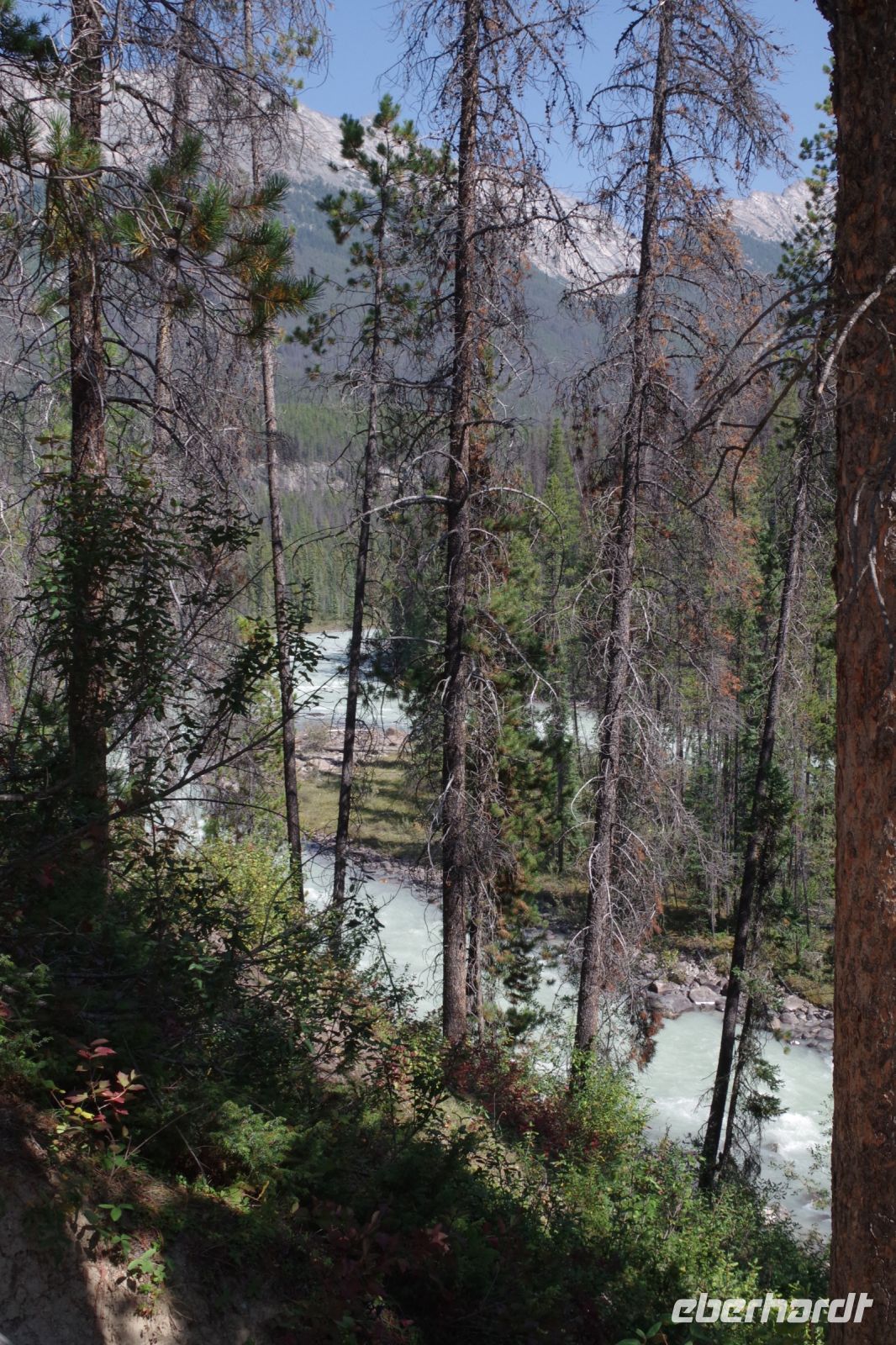 Sunwapta Falls 4