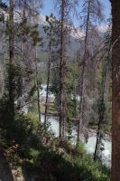 Sunwapta Falls 4