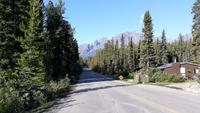 Sunwapta Falls Lodge
