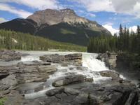 Sunwapta Falls
