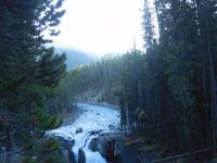 Sunwapta Wasserfall