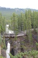 Sunwapta-Wasserfall