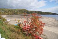 Tadoussac (8)
