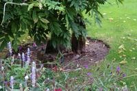 The Buchart Gardens