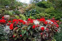 The Buchart Gardens
