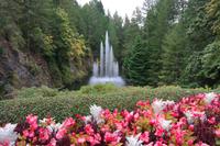The Buchart Gardens