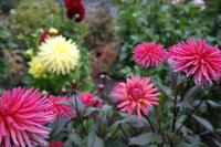 The Buchart Gardens