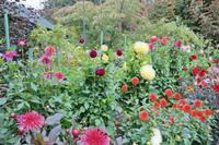 The Buchart Gardens