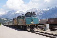 The Canadian (4)