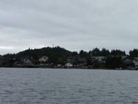 Tofino