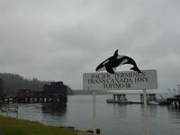 Tofino