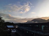 Tofino