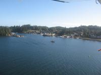 Tofino