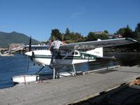 Tofino