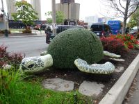 Toronto Kanada 