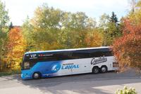 Unser Bus