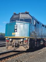 Unser Zug in Capreol (5)