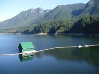 Unterwegs im Capilano River Nationalpark