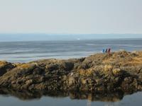 Victoria - Oak Bay