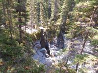 Wälder Kanadas