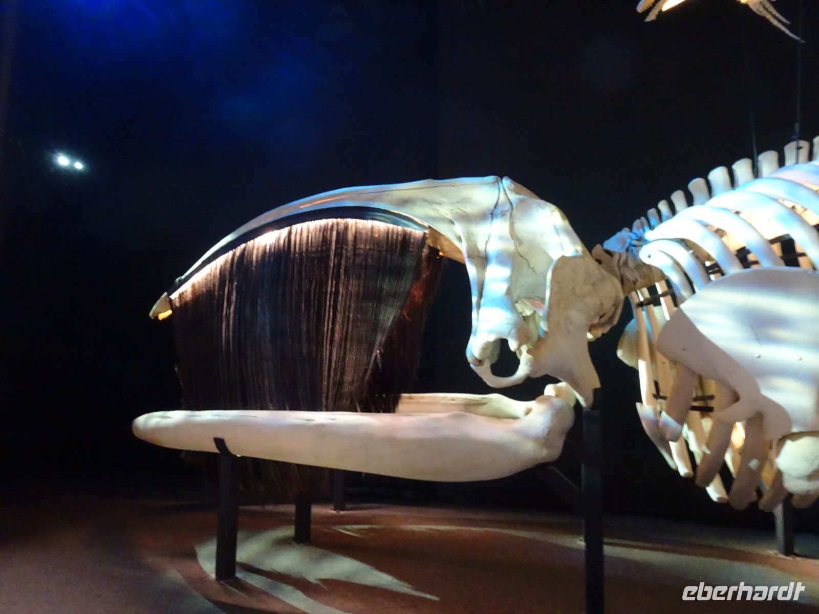 Walmuseum