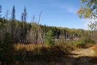 Wanderung (5)