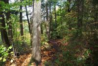 Wanderung Whisky Trail (2)