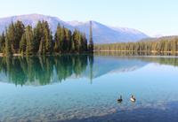 Wanderung am Lac Beauvert im Jasper-Nationalpark
