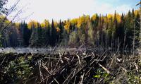 Wanderung am Lac Taureau