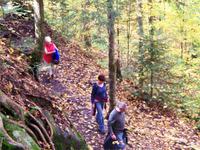 Wanderung auf dem Whiskey Rapids Trail
