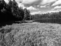 Wanderung im Algonquin Park