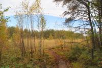 Wanderung