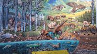 Waterton Park - Besucherzentrum