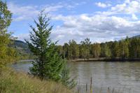 Wells Gray Park (1)