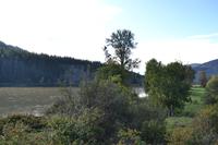 Wells Gray Park (3)