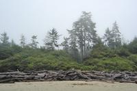 Wickaninnish Beach