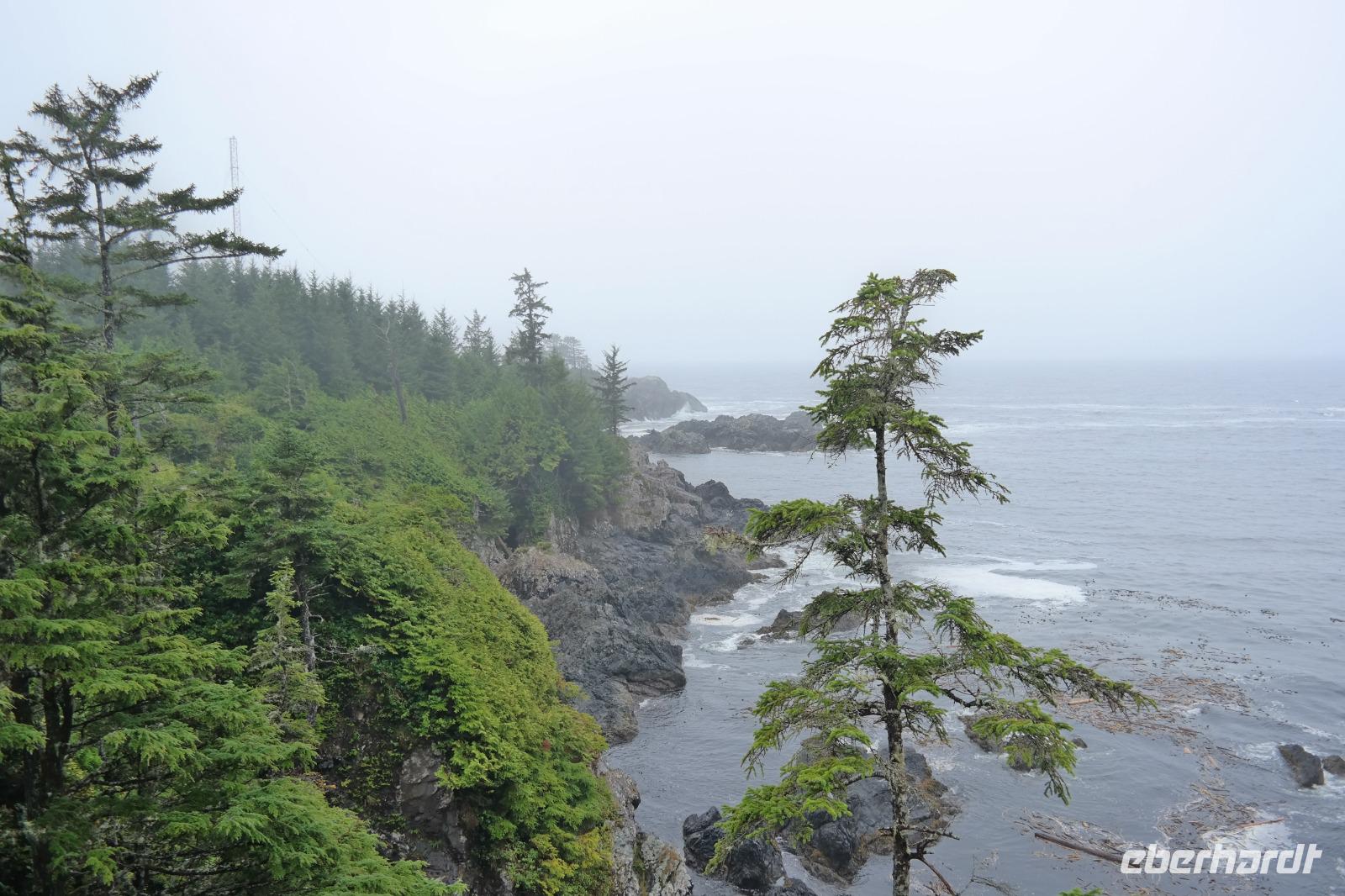 Wild Pacific Trail