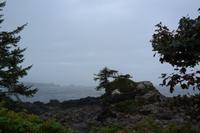 Wild Pacific Trail