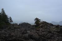 Wild Pacific Trail