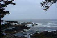 Wild Pacific Trail