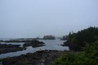 Wild Pacific Trail