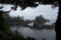 Wild Pacific Trail