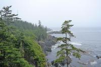 Wild Pacific Trail