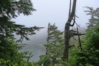 Wild Pacific Trail