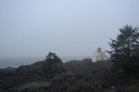 Wild Pacific Trail