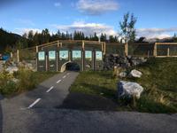 Wildbrücke
