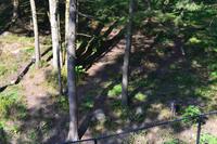 Wildlife Safari im Parc Omega